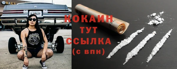 индика Заводоуковск