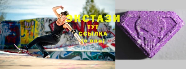индика Заводоуковск