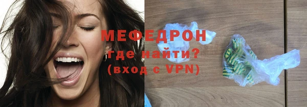 индика Заводоуковск