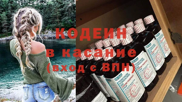 индика Заводоуковск