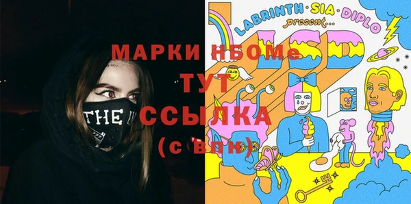 индика Заводоуковск