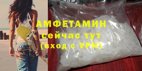 индика Заводоуковск