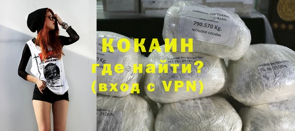 индика Заводоуковск