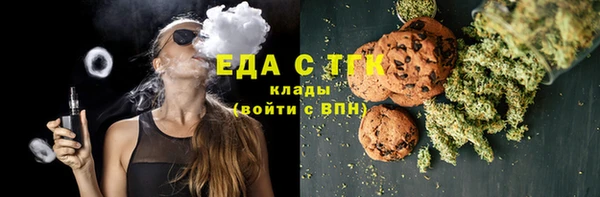 индика Заводоуковск